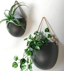 27 Best Wall Hanging Planters For