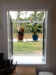 What Can I Grow In My Garden Window