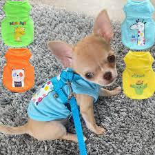 boy teacup chihuahua shirt puppy outfit