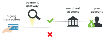 How To Choose The Right Payment Gateway For Your Startup