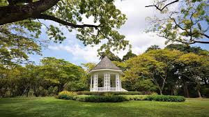 singapore botanic gardens the best