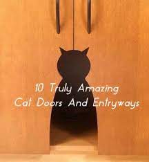 Cat Doors And Entryways