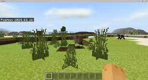 You can grow seeds and you can. The Best Minecraft Bedrock Seed Ever 1 16 Minecraft Pe Seeds