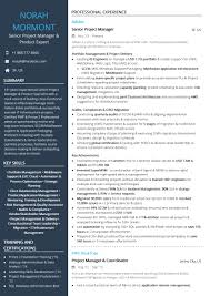 Senior Project Manager Product Expert Resume Sample By