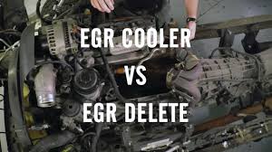egr delete or egr cooler