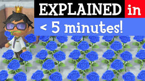 how to make blue roses in