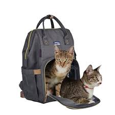 We looked at factors such. The 25 Best Cat Backpacks Of 2020 Cat Life Today