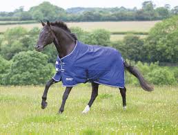 st original lite turnout rug o