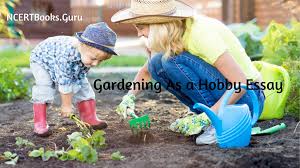 gardening as a hobby essay for students