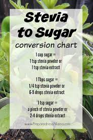How To Make Stevia Syrup Preparednessmama