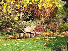 tips to prepare your garden for winter