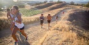 cross country summer series