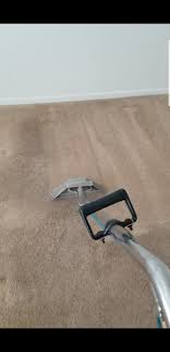 carpet cleaning in katy texas texas