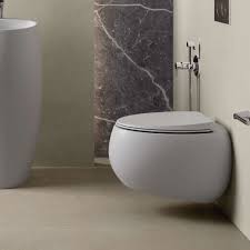 What Is The Best Wall Hung Toilet For