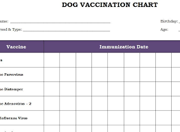 Puppy Vaccination Chart Pdf Www Bedowntowndaytona Com