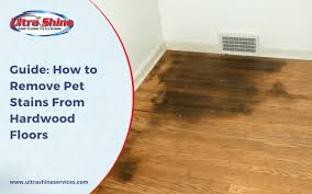 Remove Pet Stains From Hardwood Floors