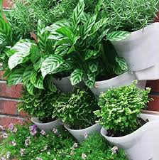 8 Automatic Plant Watering Systems To