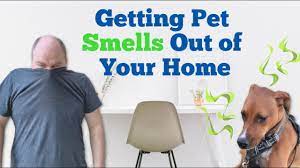 how to get rid of pet smells in a house