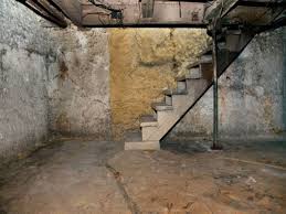 Get Rid Of Musty Odor In Basement