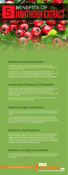 hawthorn berry benefits side effects