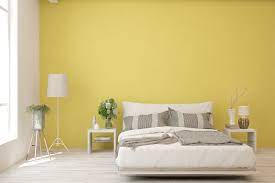 Beautiful Bedroom Paint Ideas Colours