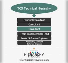Tcs Technical Hierarchy Hierarchy Structure In Tcs