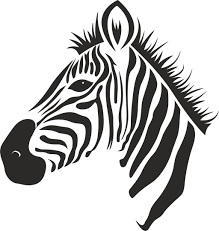 Рисунок морда зебры - 67 фото