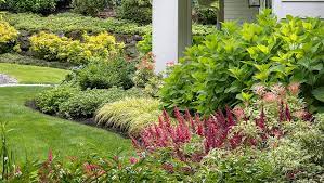 Layers To Wow In A Low Water Shade Garden