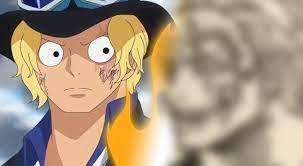 one piece reveals sabo all aged up