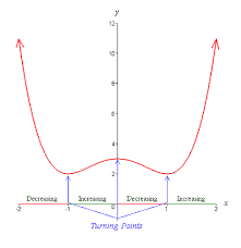 biomath polynomial functions