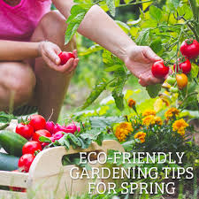 Eco Friendly Gardening Tips For Spring