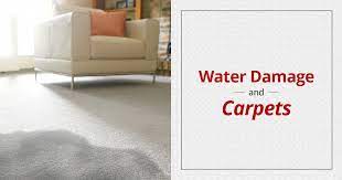 water damage and carpet cleaning