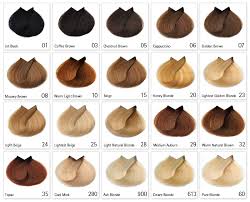 28 Albums Of Different Shades Of Brown Hair Dye Chart