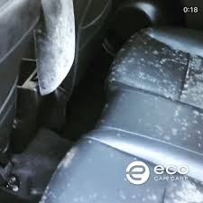 car mold removal severe call 954