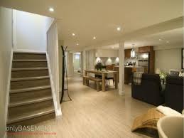 in law suites design ideas only basements
