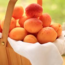 apricot alliance agro