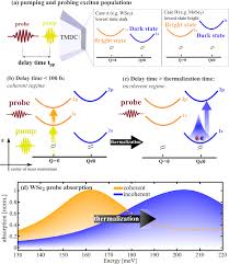 Mapping Of The Dark Exciton Landscape