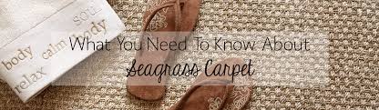 seagr carpet