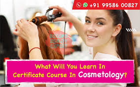 certificate course in cosmetology