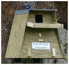 Barn Owl Box For Trees Outdoor