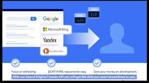 top 10 serp ser api for search