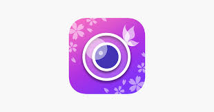 youcam perfect photo editor on the app
