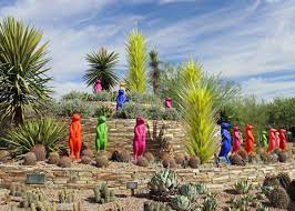 phoenix desert botanical garden summer