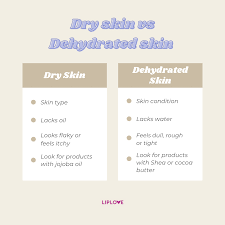 the best makeup routine for dry skin