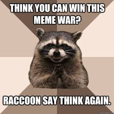 think you can win this meme war? raccoon say think again. - Evil ... via Relatably.com