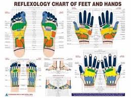 Details About Brand New Acupressure Foot Hand Reflexology Chart Eng 20 Laminated