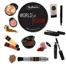 world of color professional makeup kit