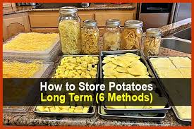 How To Potatoes Long Term 6 Methods