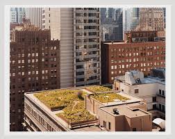 Joel Sternfeld Garden Roof City Hall