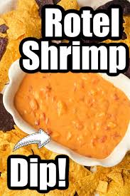 cheesy shrimp rotel dip recipe the